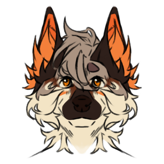 symm. headshot