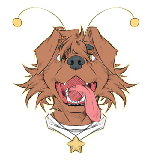 symm. headshot