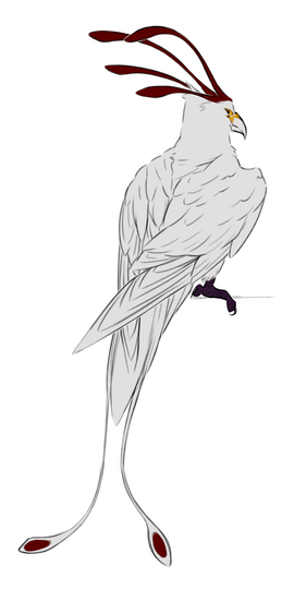 pet fullbody