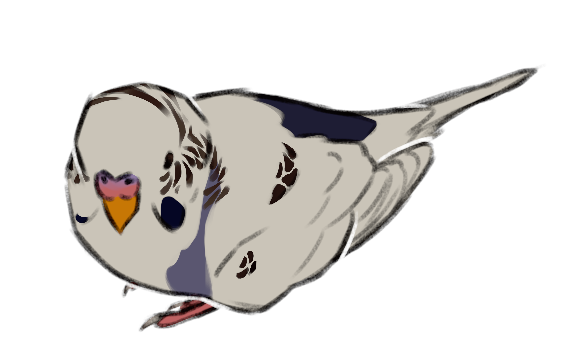pet fullbody