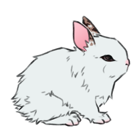 pet fullbody