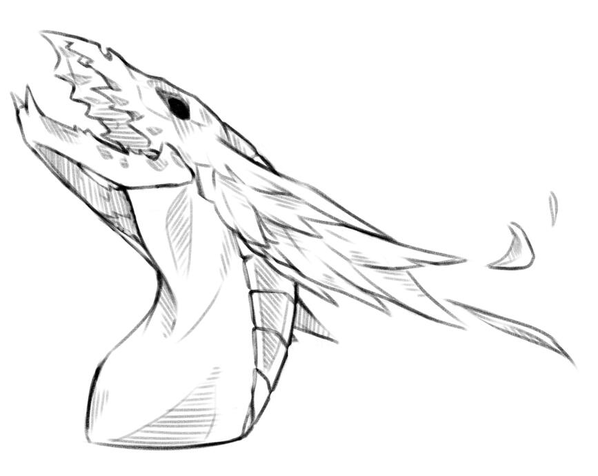 headshot