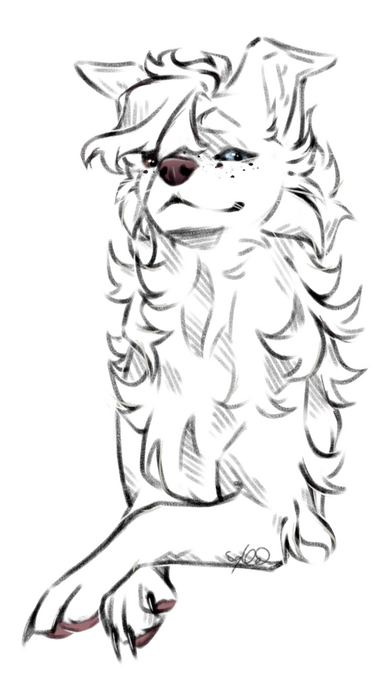 halfbody