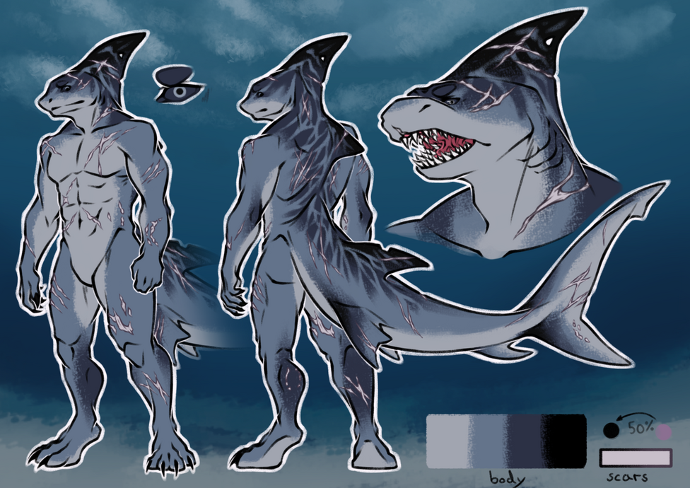 custom | commission