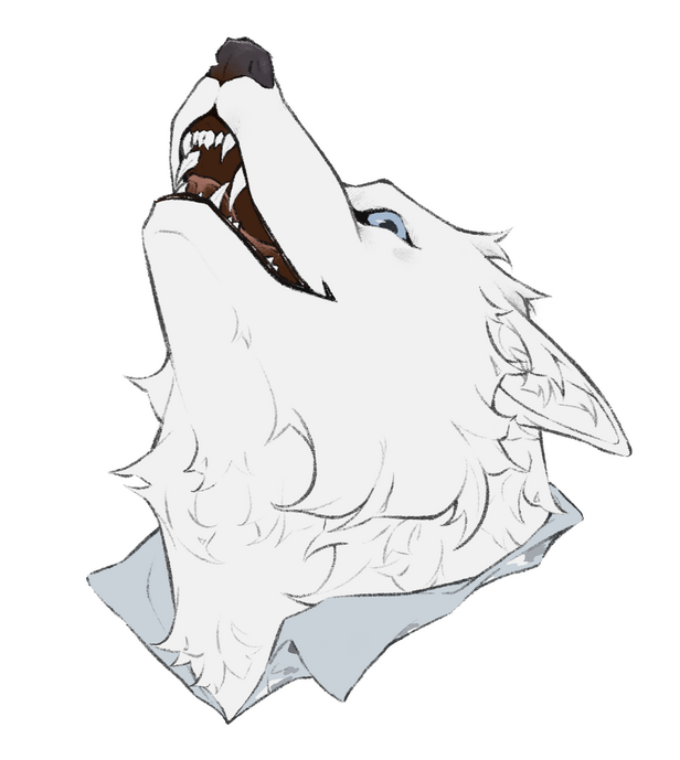 headshot | flat