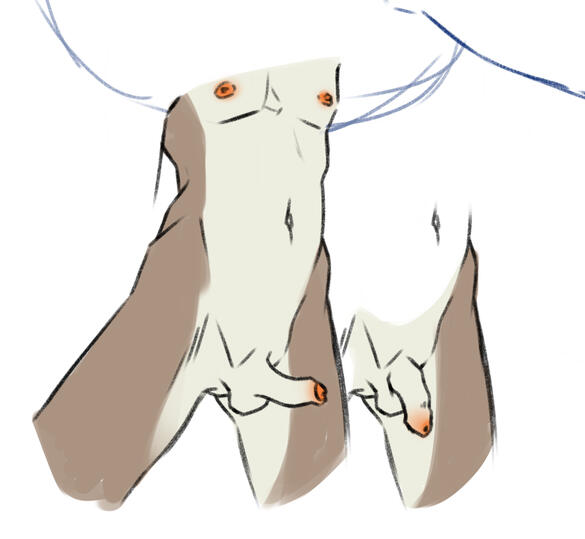 nsfw, wip
