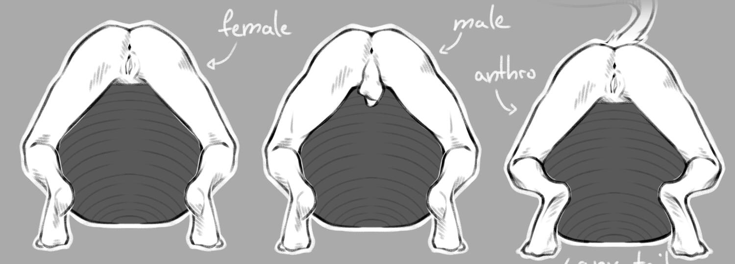 retired ych