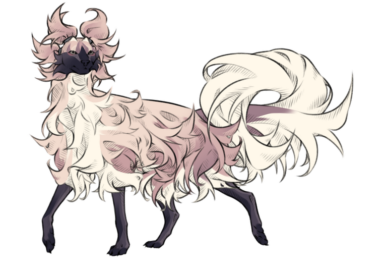 flat colo